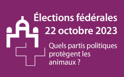 Élections fédérales du 22 octobre 2023 – Quels partis protègent les animaux ?