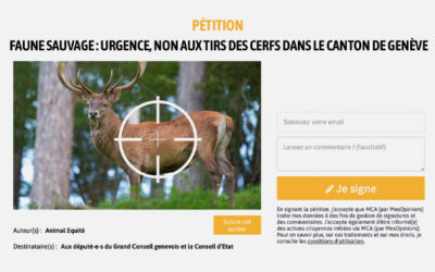 Pétition à signer – Non aux tirs des cerfs dans le canton de Genève