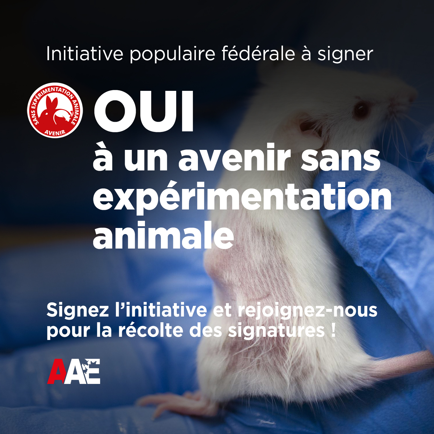 initiative contre l’expérimentation animale