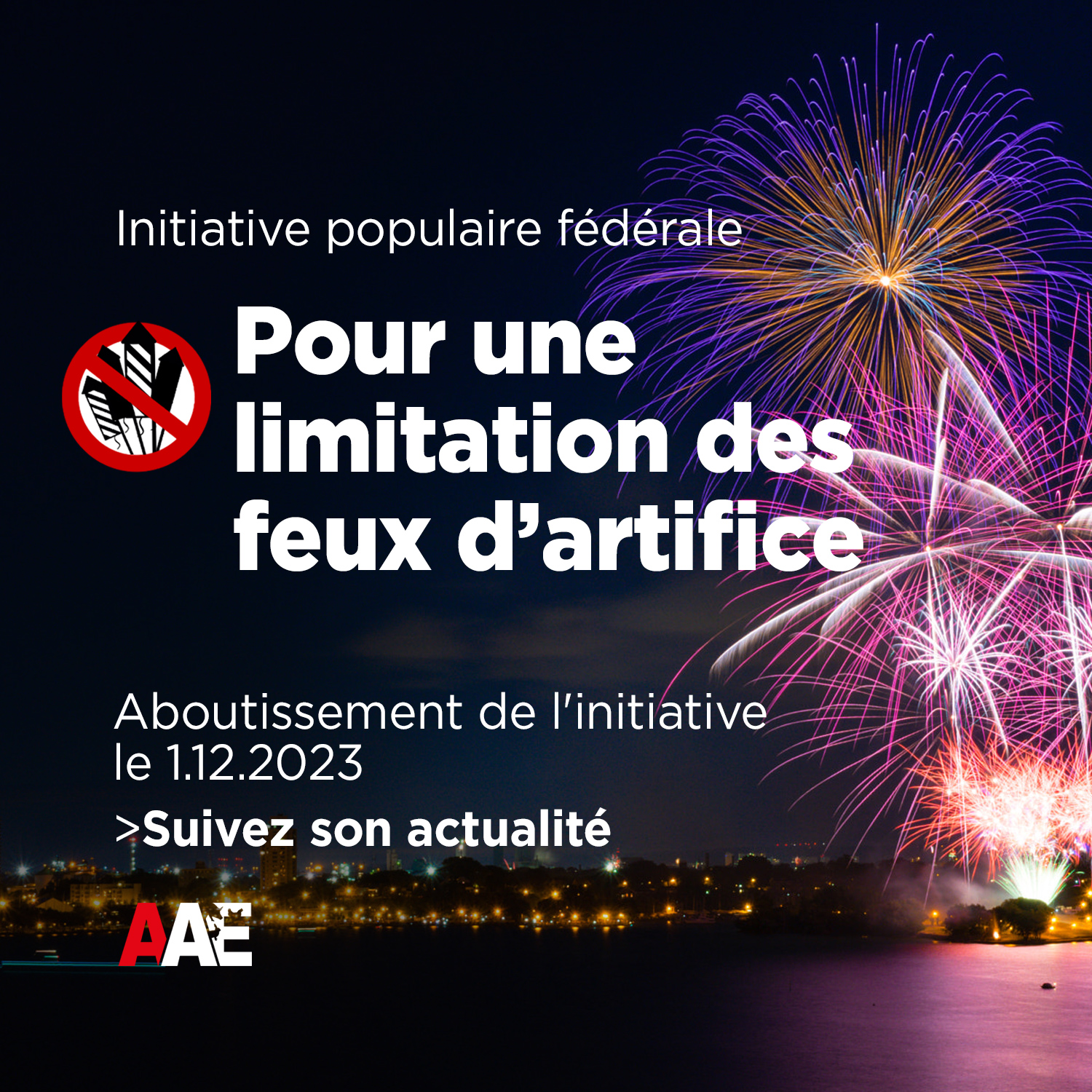 Initiative Pour une limitation des feux d’artifice