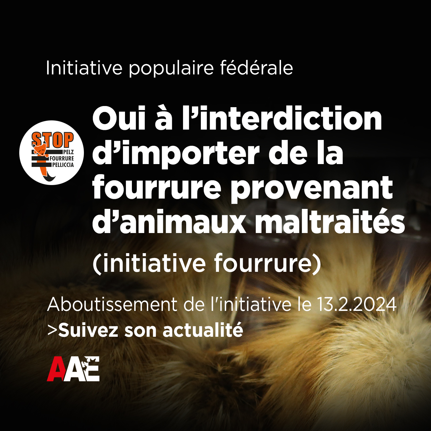 Initiative fourrure