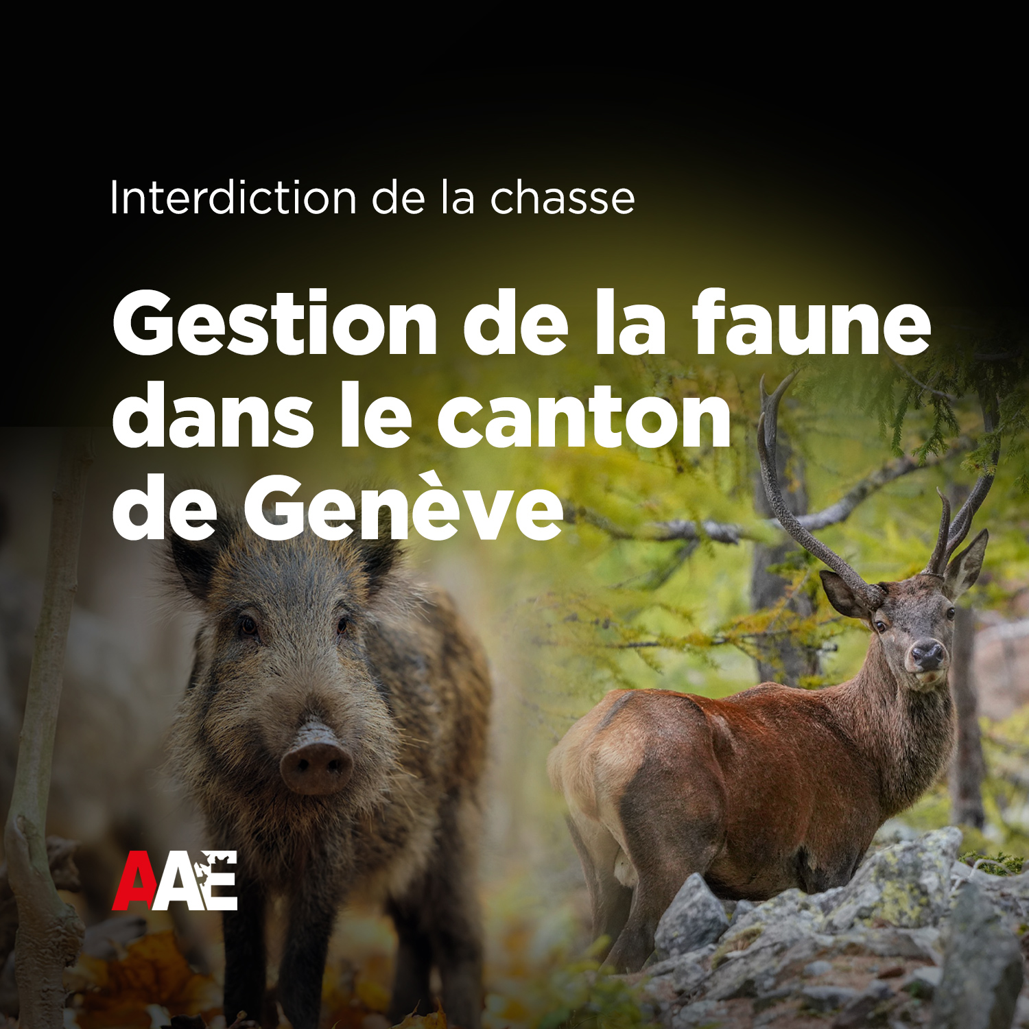 Gestion de la faune dans le canton de Genève