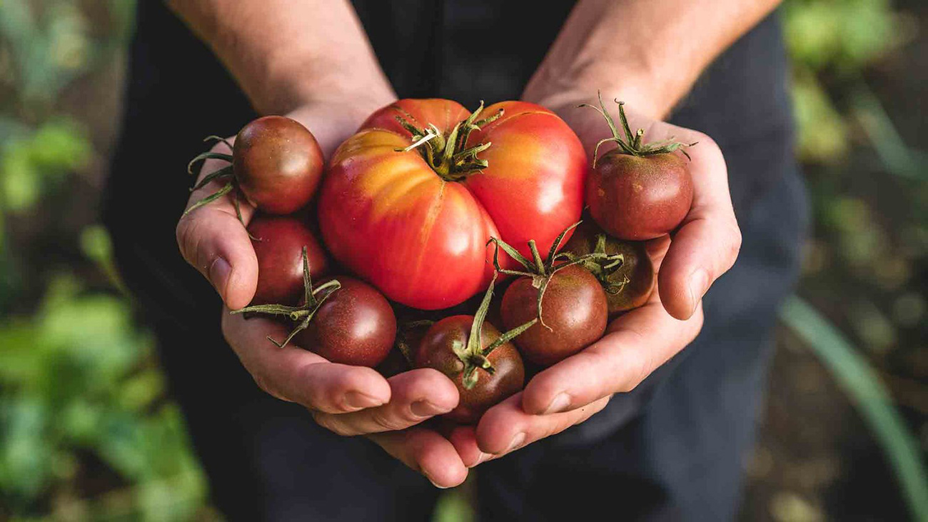Initiative Pour la protection des aliments
