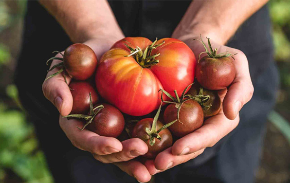 Lancement de l’initiative Pour la protection des aliments