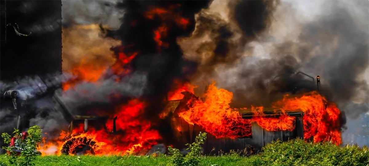 Incendies-quebec Les incendies tuent des dizaines de milliers d’animaux chaque année au Québec.