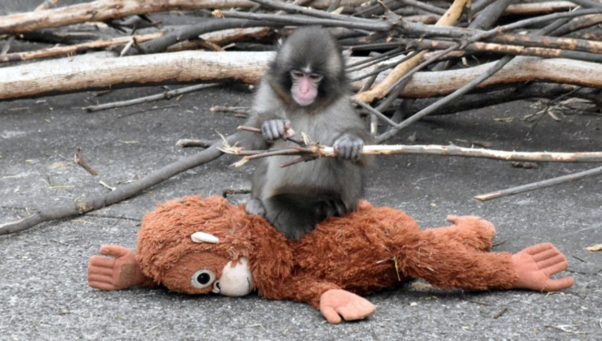 Des #Punch dans nos labos