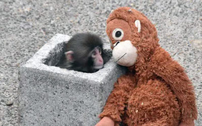 Des #Punch dans nos labos