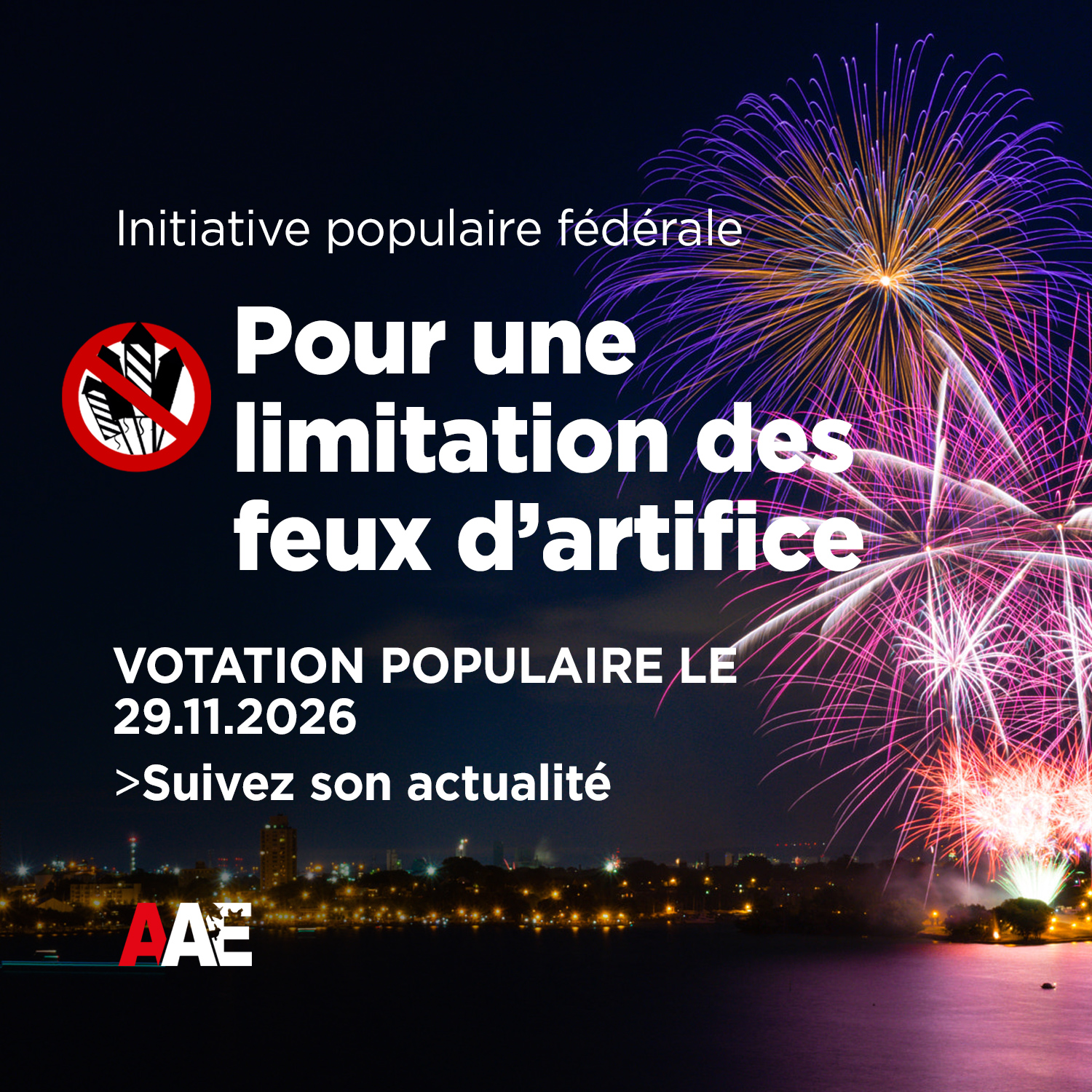 Initiative Pour une limitation des feux d’artifice